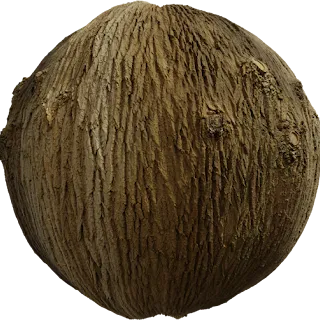 Bark Brown 01 PBR 4K Wood