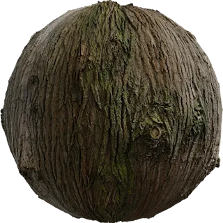 Bark Brown 02 PBR 4K Wood