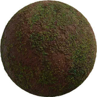 Brown Mud Leaves 01 PBR 4K Ground