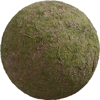 Forrest Ground 01 PBR 4K Ground