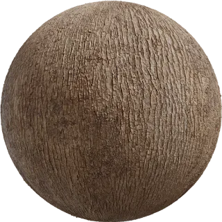 Japanese Camphor Bark PBR 4K Wood