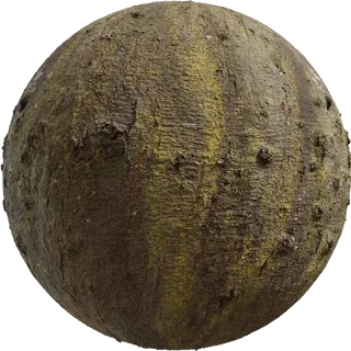 Japanese Hackberry Bark PBR 4K Wood