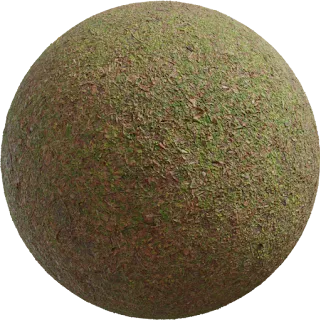 Leafy Grass PBR 4K Ground