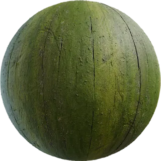 Moss Wood PBR 4K Wood