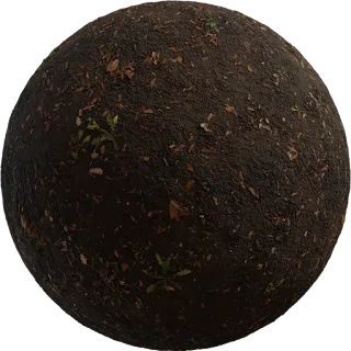 Mud Forest PBR 4K Ground