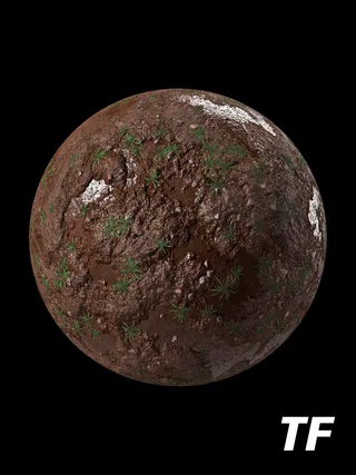 Mud Grass Patches 001 PBR 4K Ground
