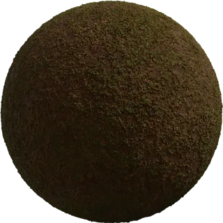 Sparse Grass PBR 4K Ground
