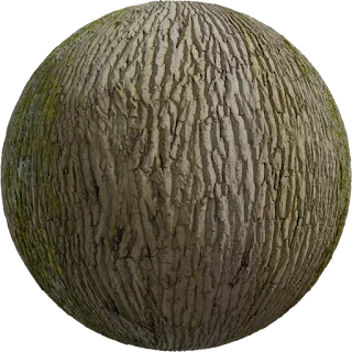 Tree Bark 03 PBR 4K Wood