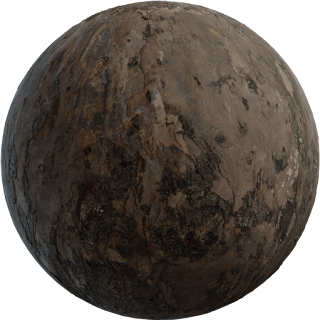 Bark Bluegum PBR 4K Wood
