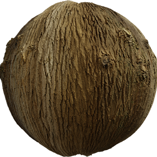 Bark Brown 01 PBR 4K Wood