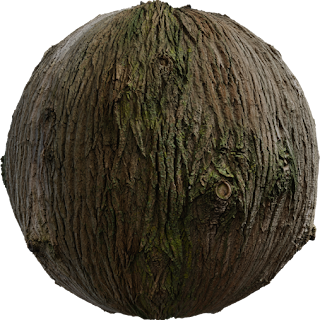 Bark Brown 02 PBR 4K Wood