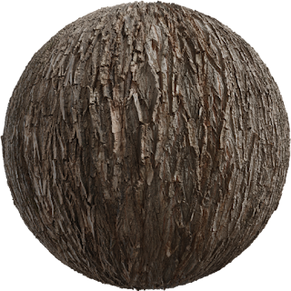 Bark Willow 02 PBR 4K Wood