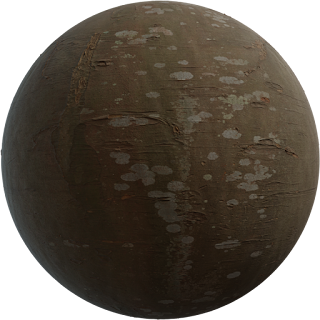 Chinese Hackberry Bark PBR 4K Wood