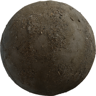 Coast Sand 04 PBR 4K Ground