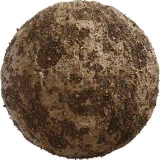 Coral Ground 02 PBR 4K Ground