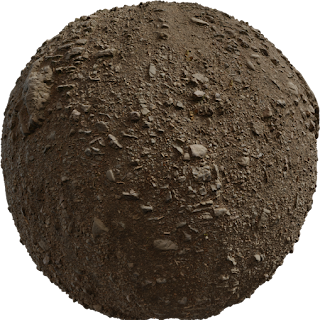 Forest Ground 04 PBR 4K Ground