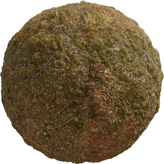 Forest Leaves 02 PBR 4K PBR