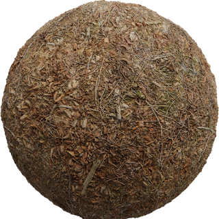 Forest Leaves 04 PBR 4K PBR