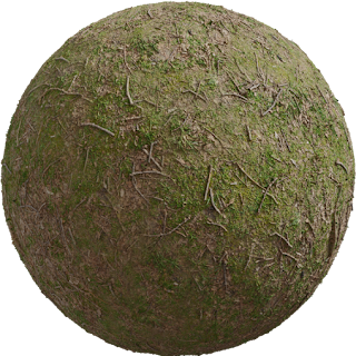 Forrest Ground 01 PBR 4K Ground