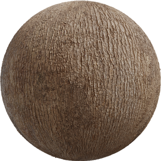 Japanese Camphor Bark PBR 4K Wood