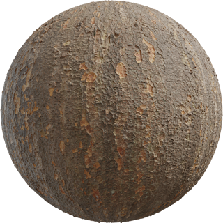 Japanese Zelkova Bark PBR 4K Wood