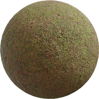 Leafy Grass PBR 4K PBR
