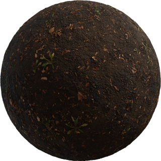 Mud Forest PBR 4K PBR