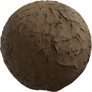 Roots PBR 4K PBR