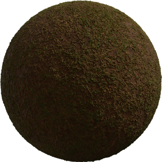 Sparse Grass PBR 4K PBR