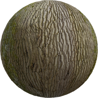 Tree Bark 03 PBR 4K Wood